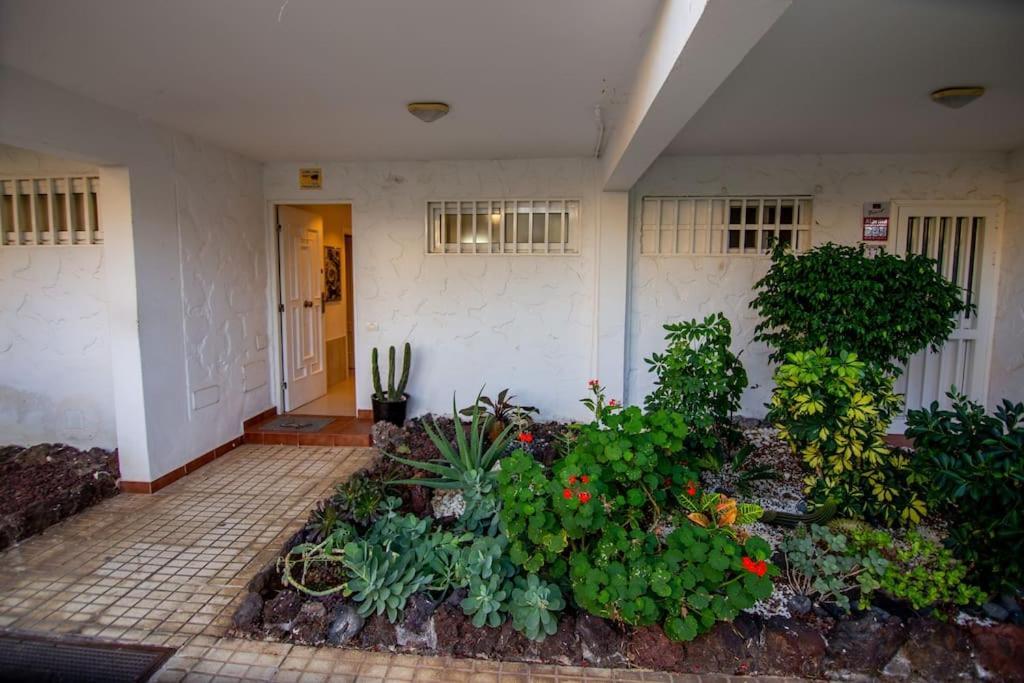 Donna Ida Apartment Costa Del Silencio Exterior photo
